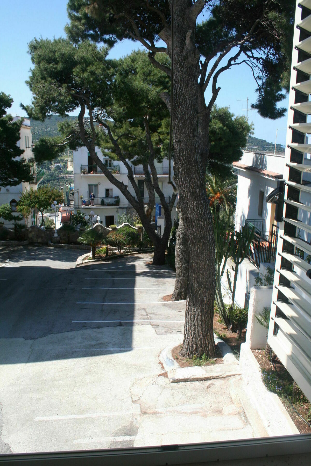 Hotel Timiama