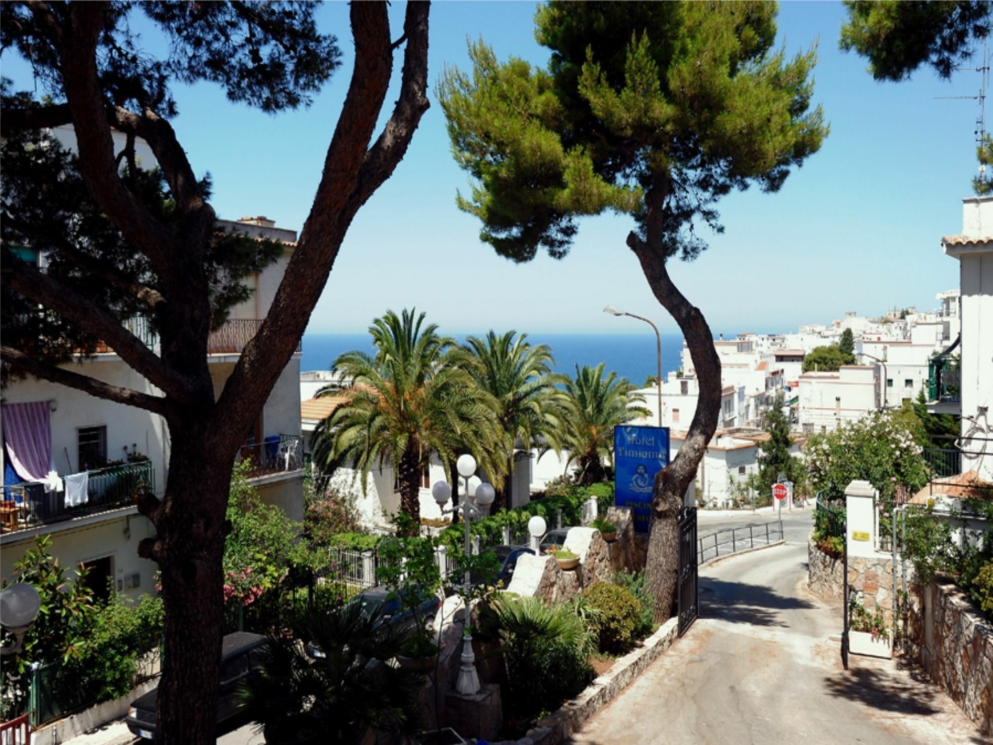 Hotel Timiama