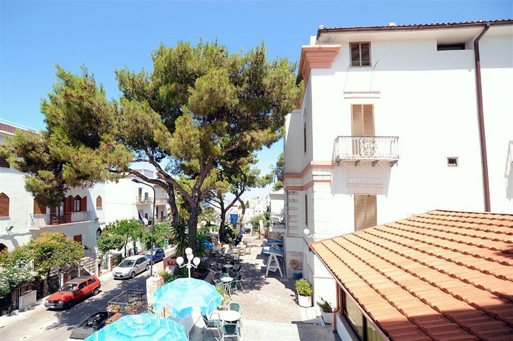 Hotel Timiama 3*